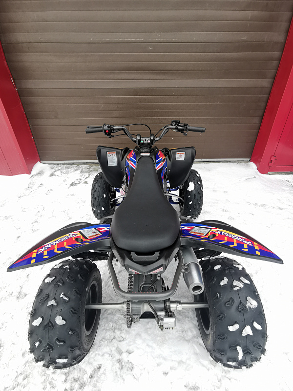 Квадроцикл PROMAX RAPTOR 300 NEW RedBull в Ростове-на-Дону