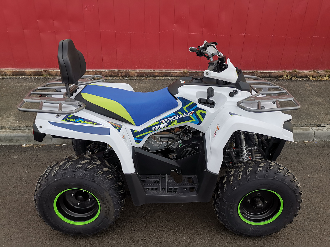 Квадроцикл PROMAX RENEGADE 280 LUX (2025) в Ростове-на-Дону