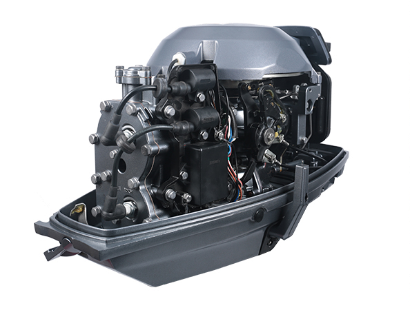 ЛОДОЧНЫЙ МОТОР ALLFA CG T30 FW S в Ростове-на-Дону