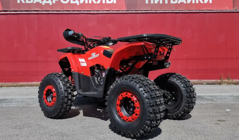 Квадроцикл PROMAX WILD 175 BASIC в Ростове-на-Дону