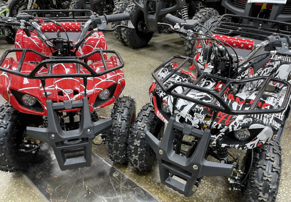 Квадроцикл PROMAX ATV MINI 2T 70CC р/с в Ростове-на-Дону