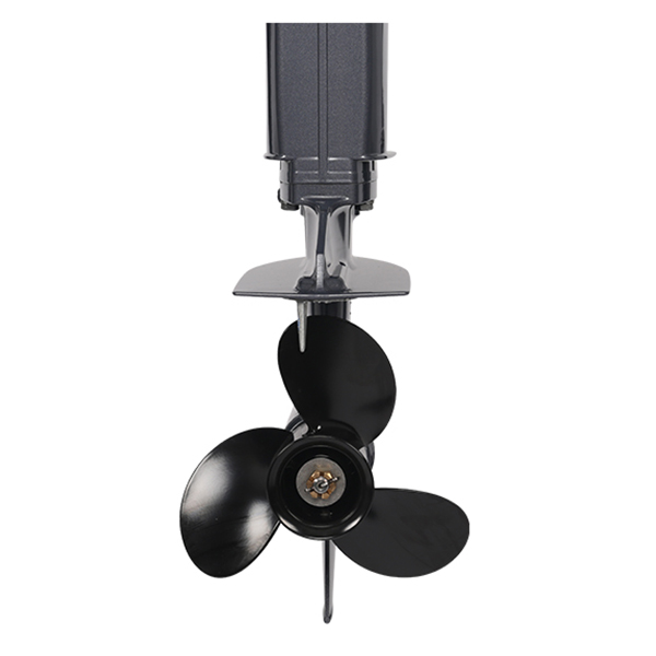 Лодочный мотор ALLFA CG T9.9(20) MAX Limit в Ростове-на-Дону