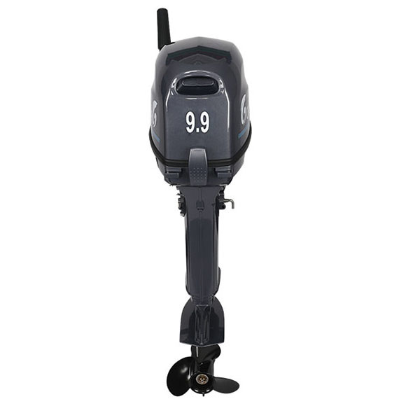 Лодочный мотор ALLFA CG Т9.9(20)MAX в Ростове-на-Дону