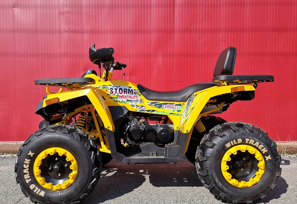 Квадроцикл PROMAX STORM 280 LUX в Ростове-на-Дону