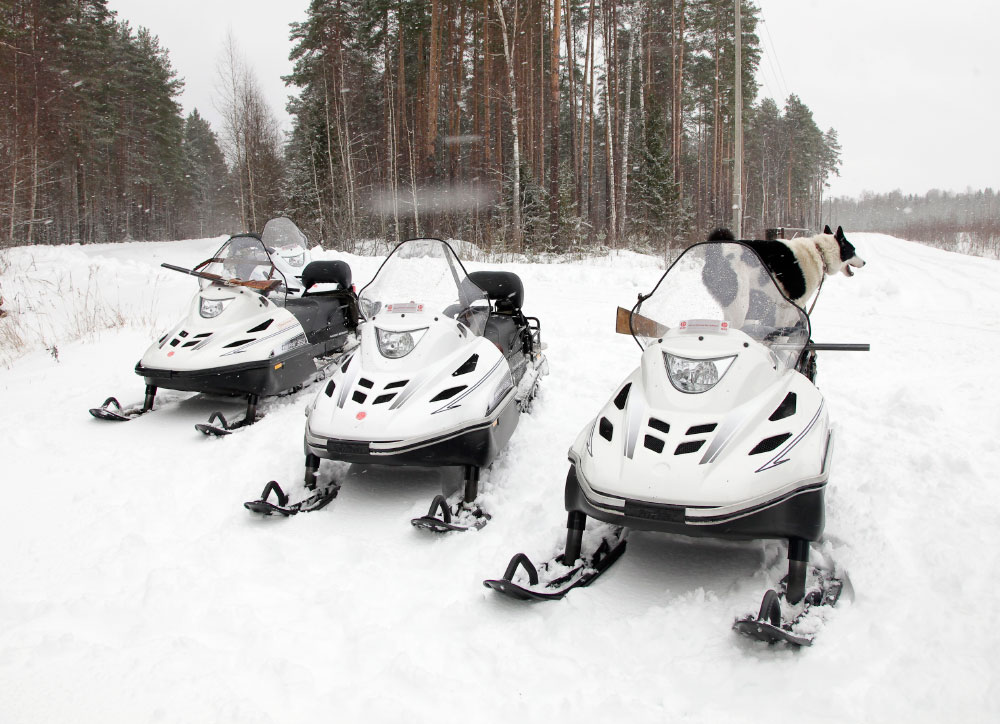 СНЕГОХОД РМ ТАЙГА ВАРЯГ 550 V в Ростове-на-Дону