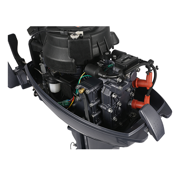 ЛОДОЧНЫЙ МОТОР ALLFA CG Т9,9 в Ростове-на-Дону