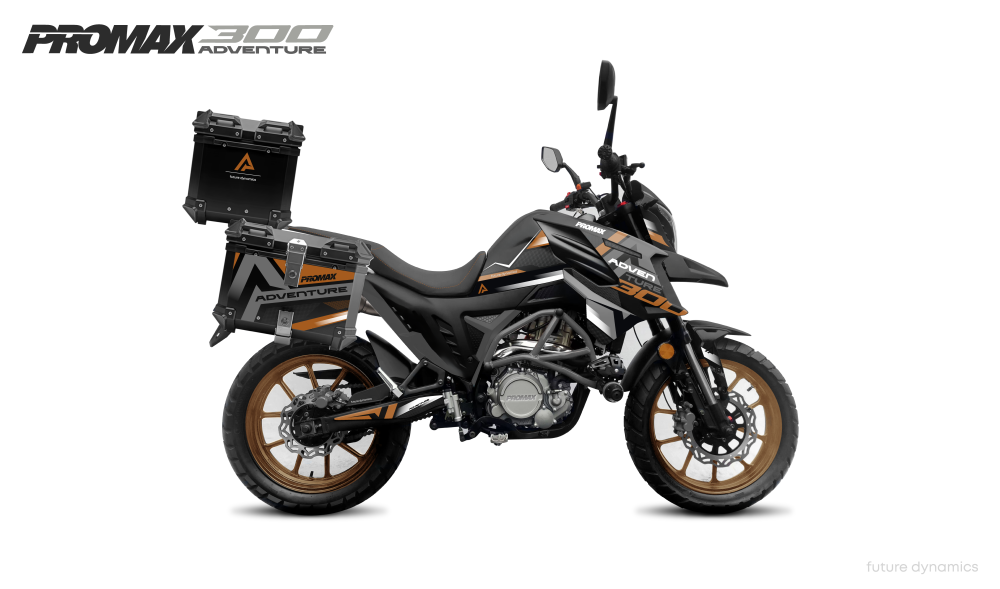 Мотоцикл PROMAX ADVENTURE 300 PRO EFI (NB300) в Ростове-на-Дону