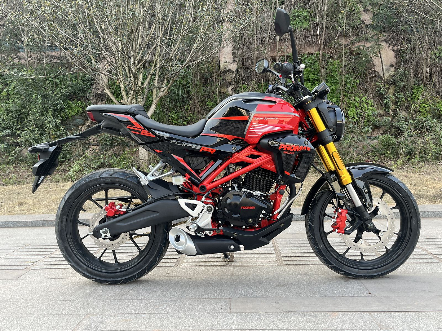 Мотоцикл PROMAX CB300 в Ростове-на-Дону