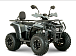 Квадроцикл YACOTA DRAGON LUX LD 150 PRO-SPORT в Ростове-на-Дону
