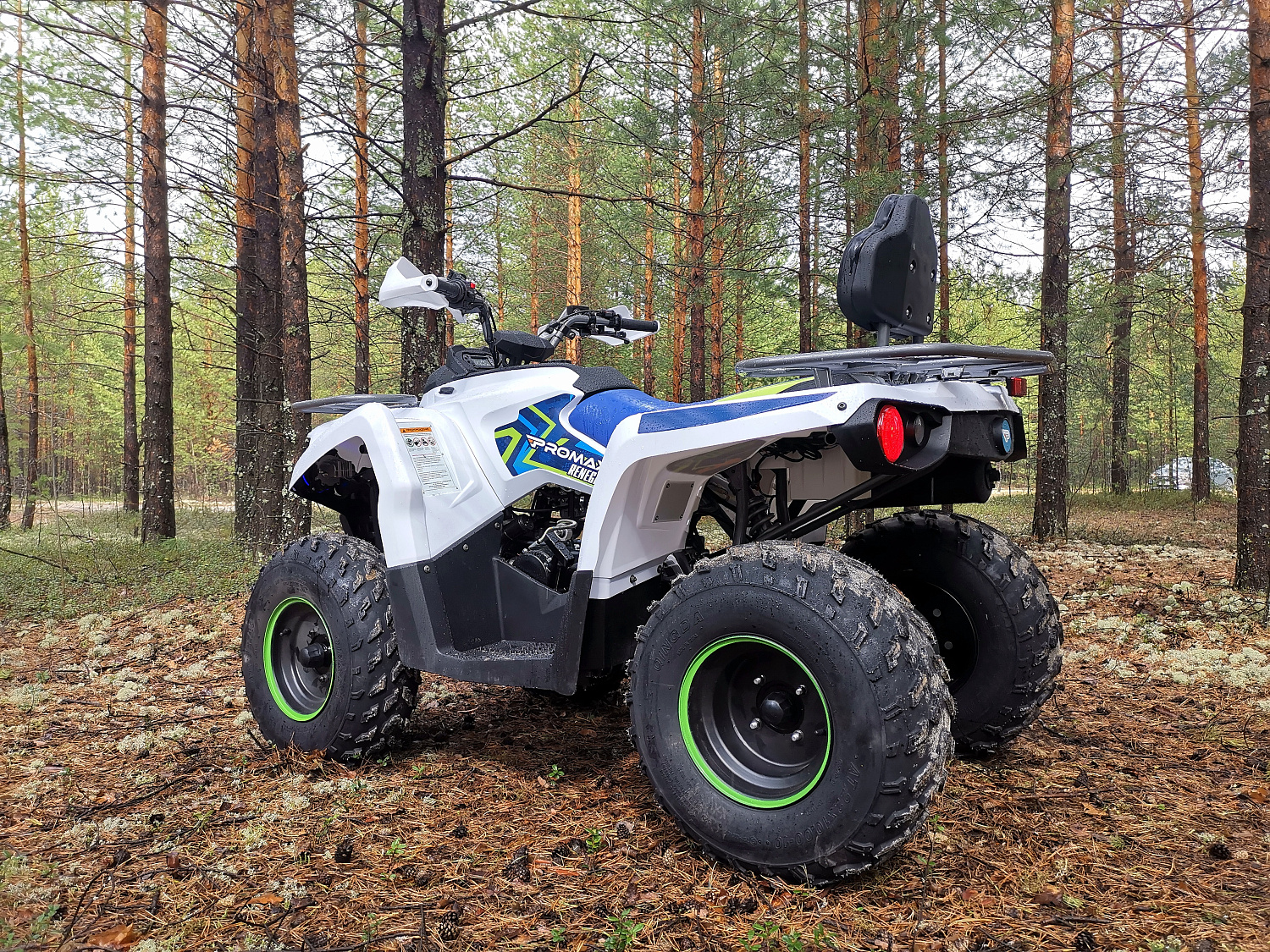 Квадроцикл PROMAX RENEGADE 280 (2025) в Ростове-на-Дону