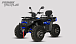 Квадроцикл PROMAX TAURUS 300 MAX-PRO LONG в Ростове-на-Дону
