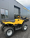 КВАДРОЦИКЛ IRBIS ATV 250  в Ростове-на-Дону