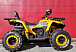 Квадроцикл PROMAX STORM 280 LUX в Ростове-на-Дону