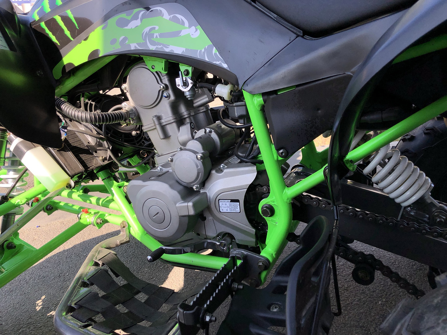 Квадроцикл PROMAX RAPTOR 300 NEW Monster в Ростове-на-Дону