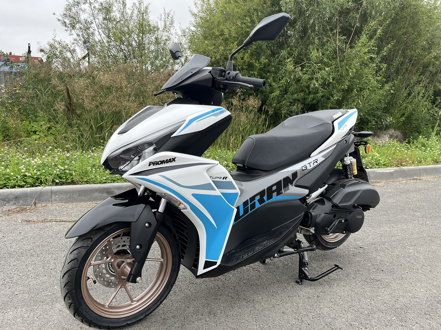 Скутер PROMAX TURAN 250 (49) в Ростове-на-Дону