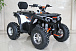 Квадроцикл GBM STORMRIDER 320 PREMIUM в Ростове-на-Дону