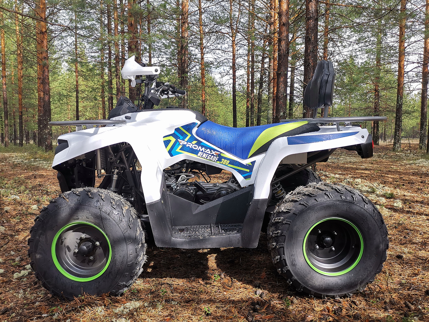 Квадроцикл PROMAX RENEGADE 280 (2025) в Ростове-на-Дону