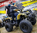 Квадроцикл PROMAX ATV 250 (2025) в Ростове-на-Дону