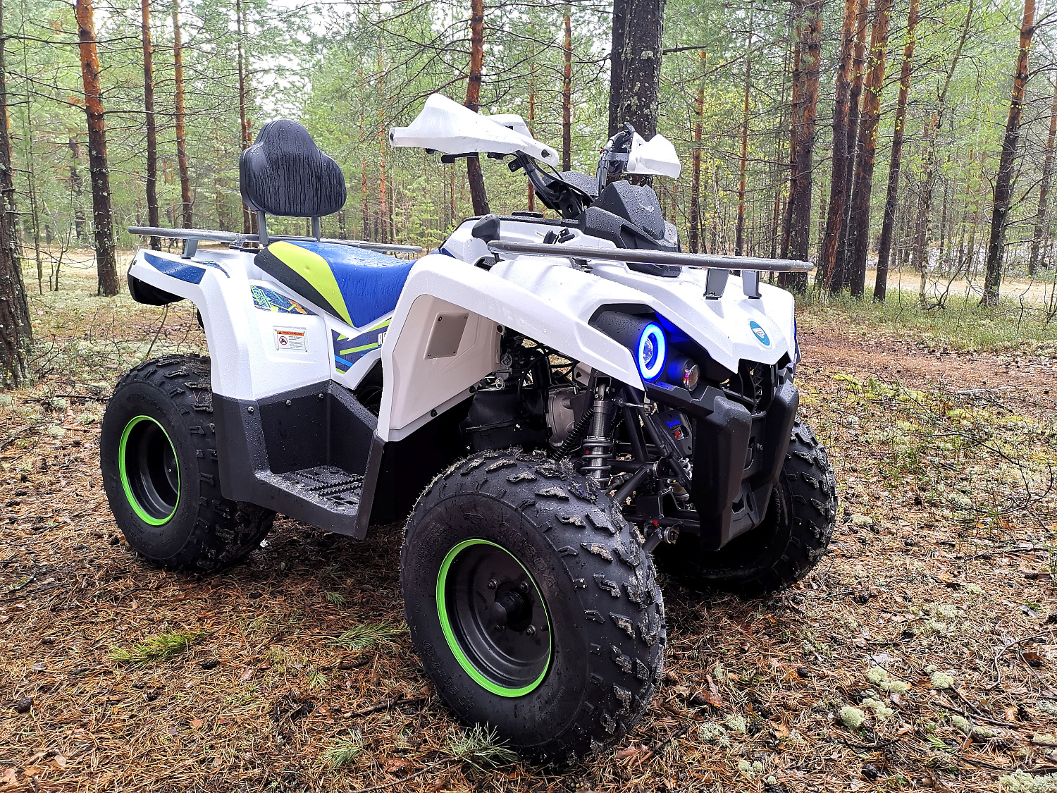 Квадроцикл PROMAX RENEGADE 280 (2025) в Ростове-на-Дону