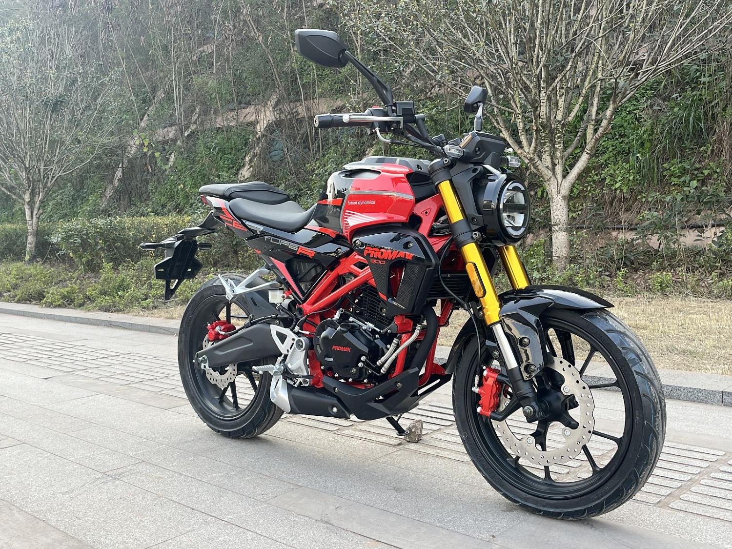 Мотоцикл PROMAX CB300 в Ростове-на-Дону