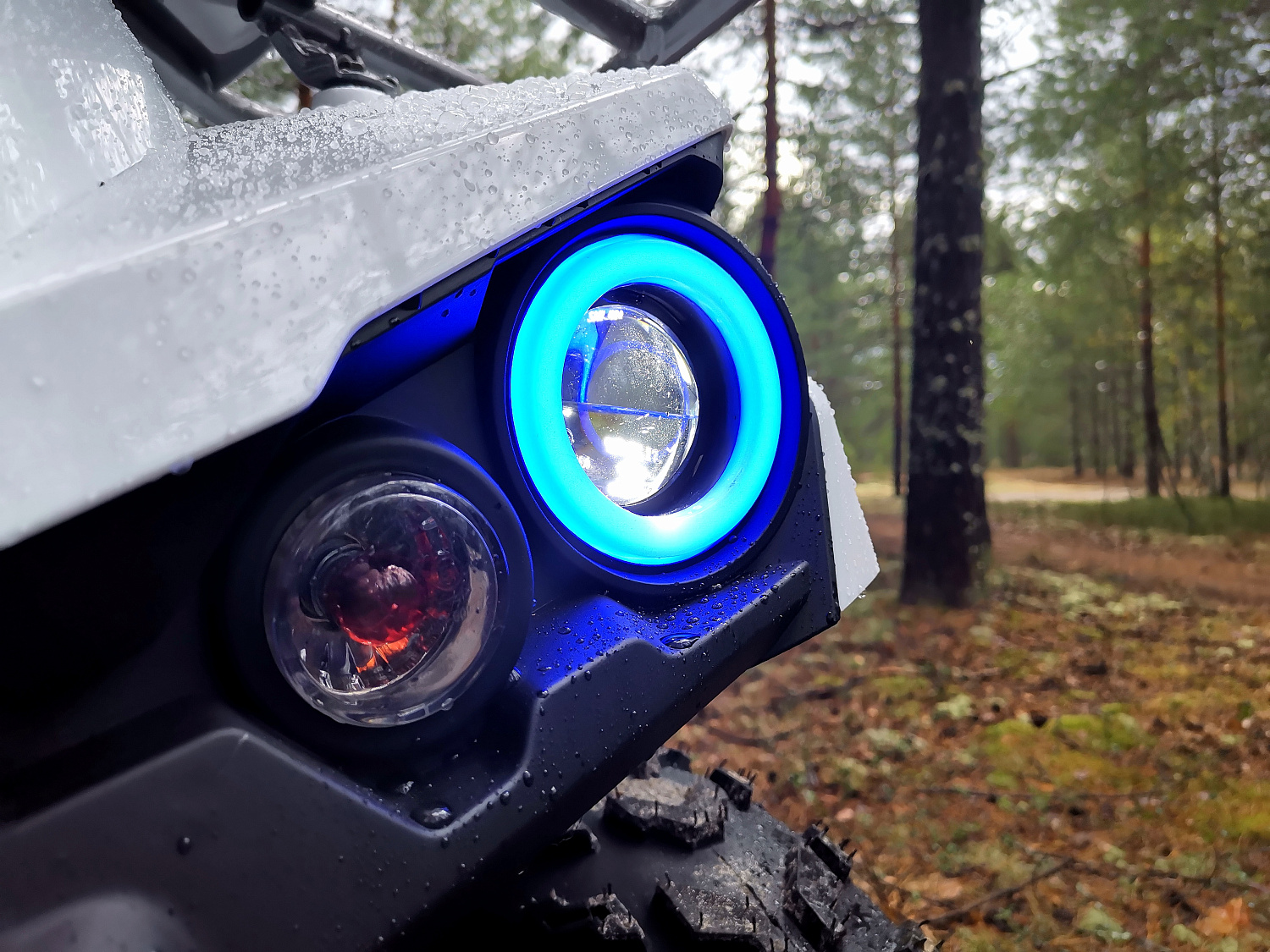 Квадроцикл PROMAX RENEGADE 280 (2025) в Ростове-на-Дону