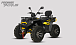 Квадроцикл PROMAX TAURUS 300 MAX-PRO LONG в Ростове-на-Дону
